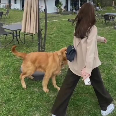 爱与希望的禁区