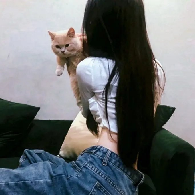 监谍任务